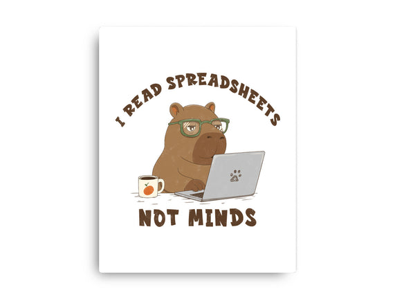 I Read Spreadsheets