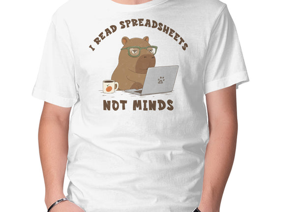 I Read Spreadsheets