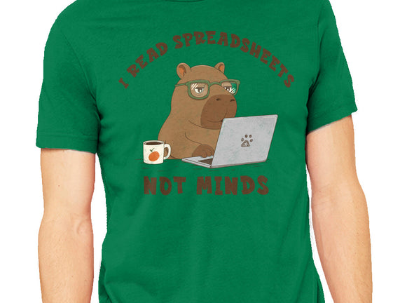 I Read Spreadsheets