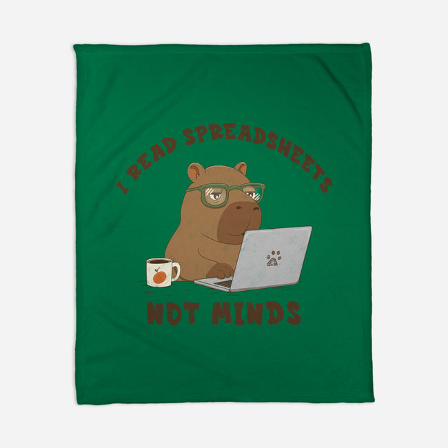 I Read Spreadsheets-None-Fleece-Blanket-Loobs