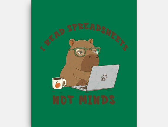 I Read Spreadsheets