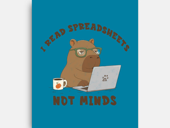 I Read Spreadsheets