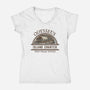Ten-Year Boat Tours-Womens-V-Neck-Tee-kg07