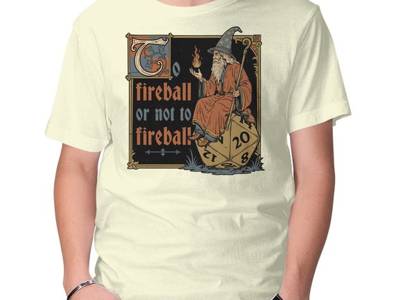 Medieval Wizard Fireball