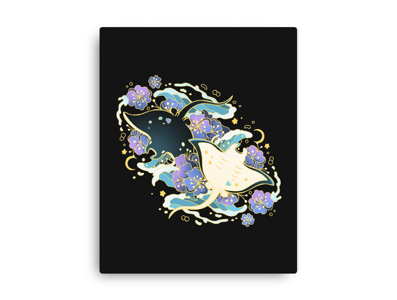 Manta Ray