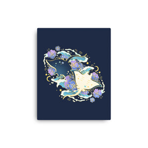 Manta Ray