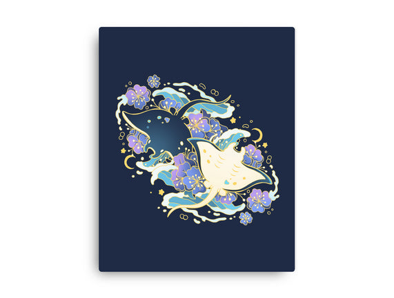Manta Ray