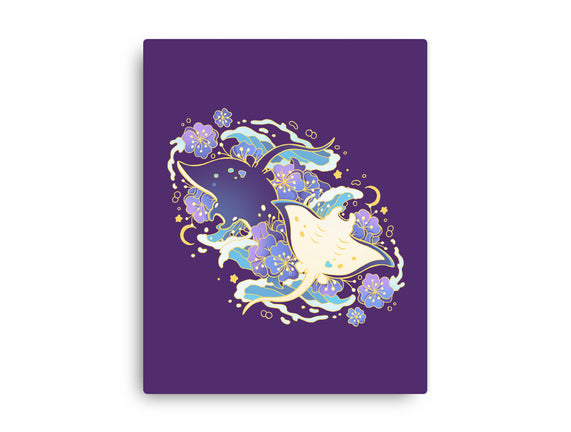 Manta Ray