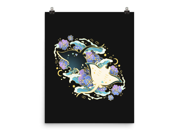 Manta Ray