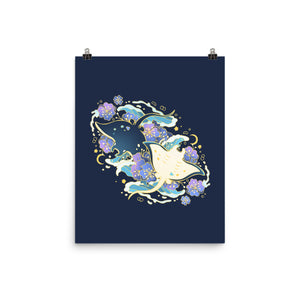 Manta Ray