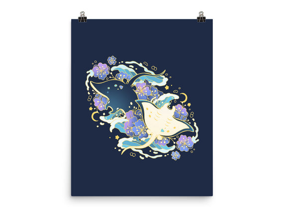 Manta Ray