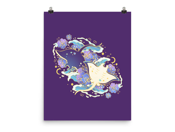 Manta Ray