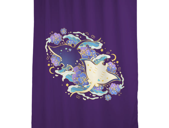 Manta Ray