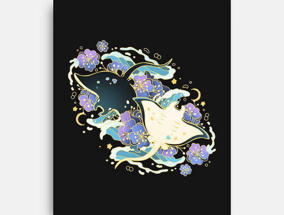 Manta Ray