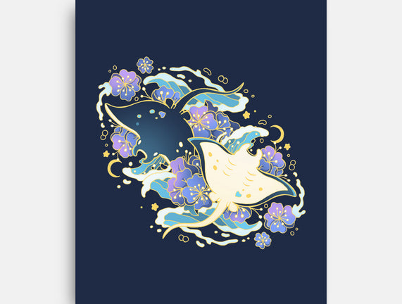 Manta Ray