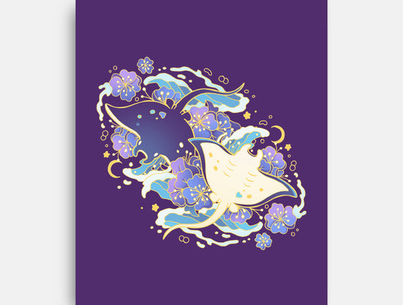 Manta Ray