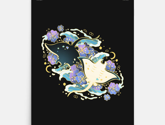 Manta Ray