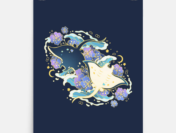 Manta Ray