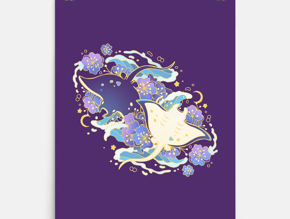 Manta Ray