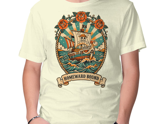 Oldschool Pirate Ship