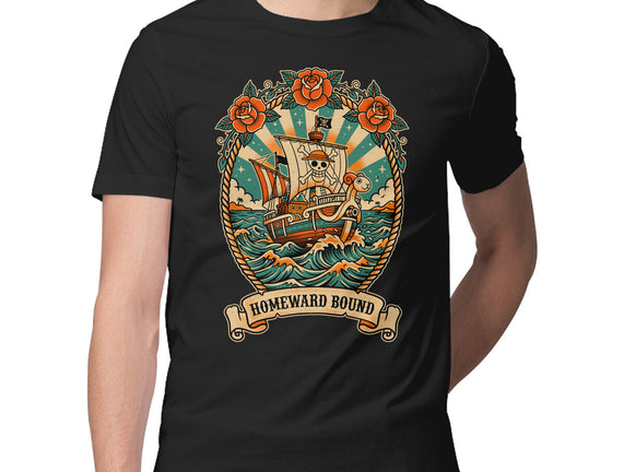Oldschool Pirate Ship