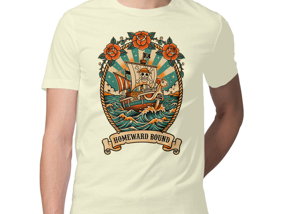 Oldschool Pirate Ship