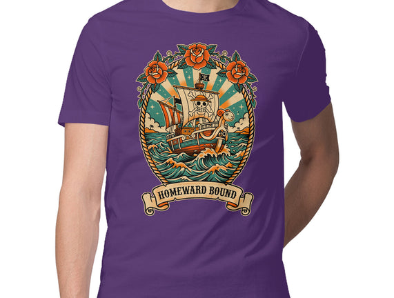 Oldschool Pirate Ship