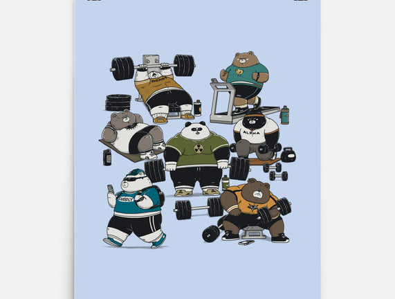 Bear Gym