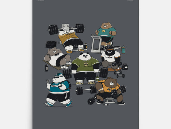 Bear Gym