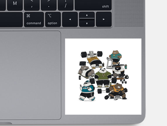Bear Gym