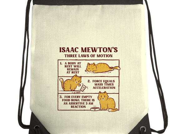 Isaac Mewton's Laws Of Motion