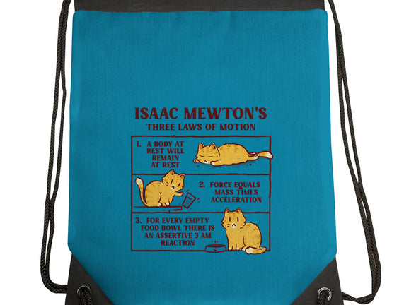 Isaac Mewton's Laws Of Motion