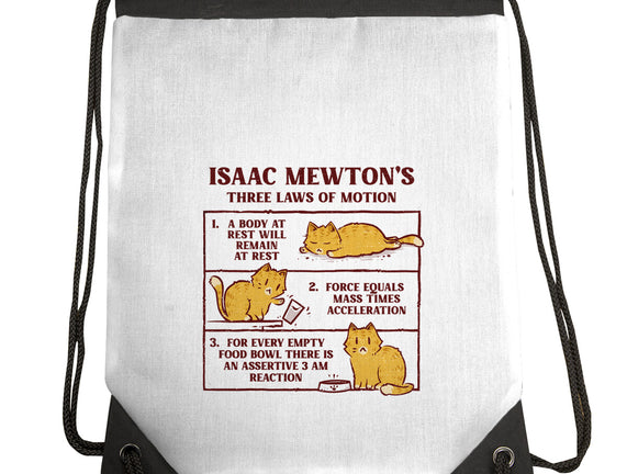 Isaac Mewton's Laws Of Motion