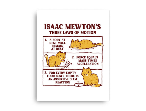 Isaac Mewton's Laws Of Motion