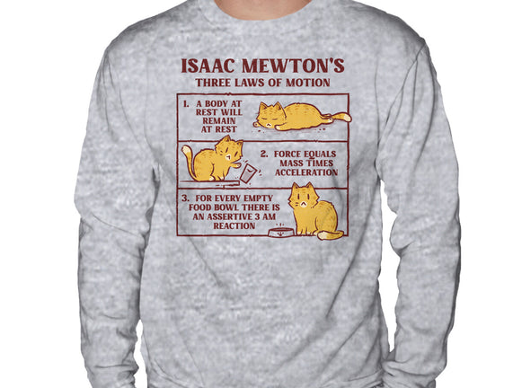 Isaac Mewton's Laws Of Motion