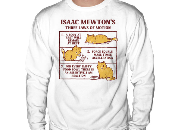 Isaac Mewton's Laws Of Motion