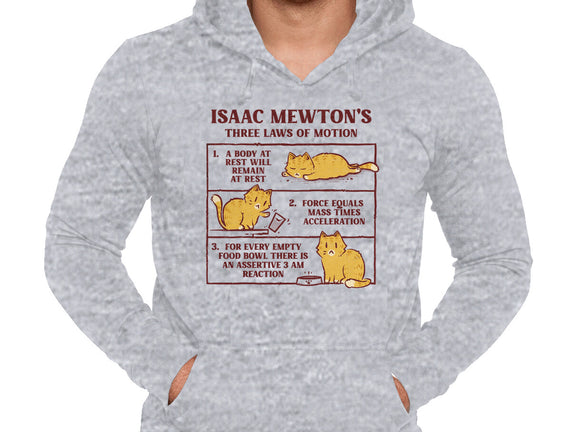 Isaac Mewton's Laws Of Motion
