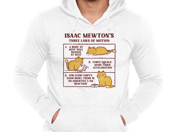 Isaac Mewton's Laws Of Motion