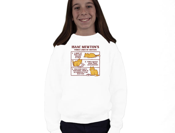 Isaac Mewton's Laws Of Motion