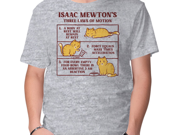 Isaac Mewton's Laws Of Motion