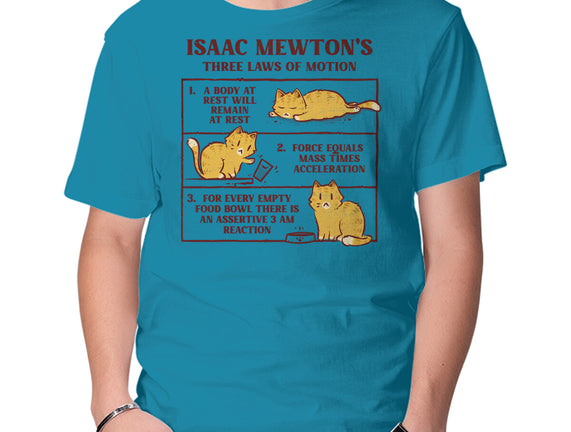Isaac Mewton's Laws Of Motion