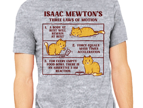 Isaac Mewton's Laws Of Motion