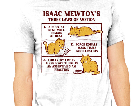 Isaac Mewton's Laws Of Motion
