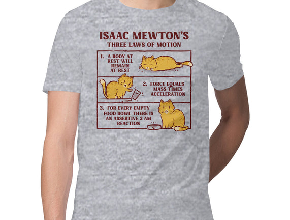 Isaac Mewton's Laws Of Motion