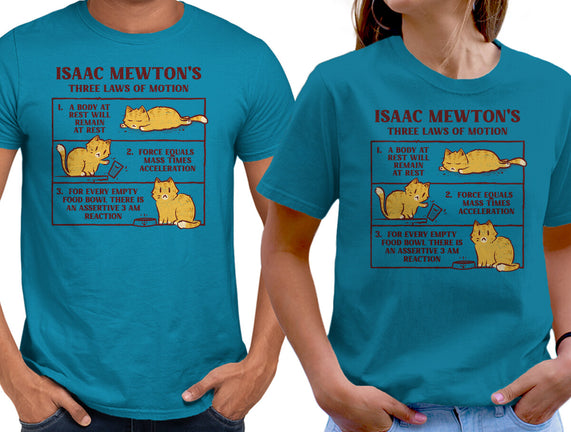 Isaac Mewton's Laws Of Motion