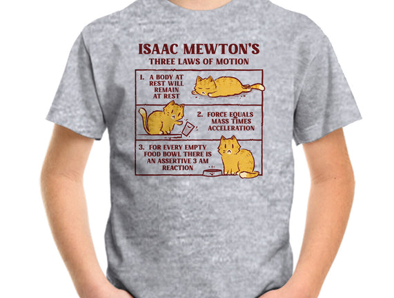 Isaac Mewton's Laws Of Motion