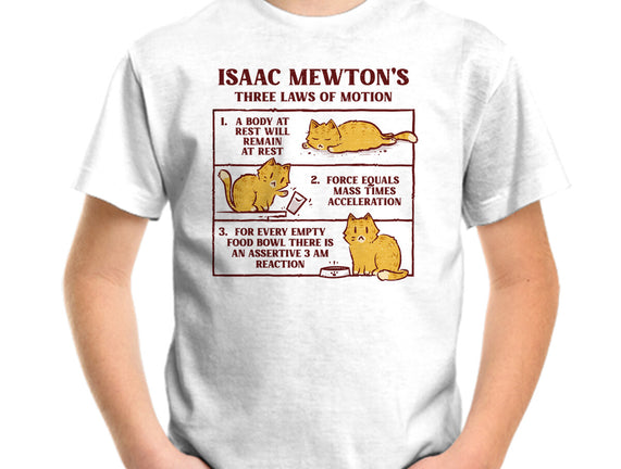Isaac Mewton's Laws Of Motion