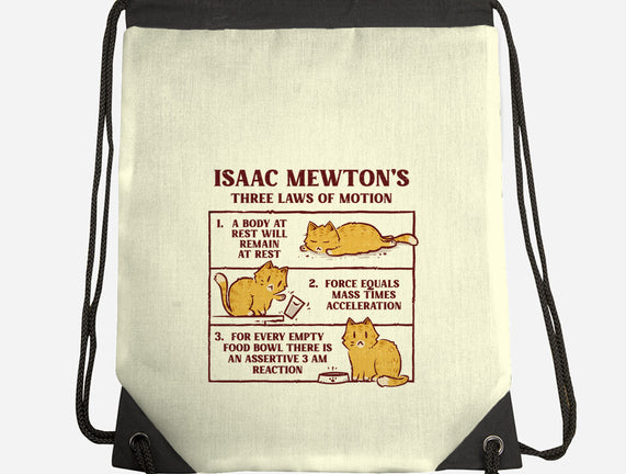 Isaac Mewton's Laws Of Motion