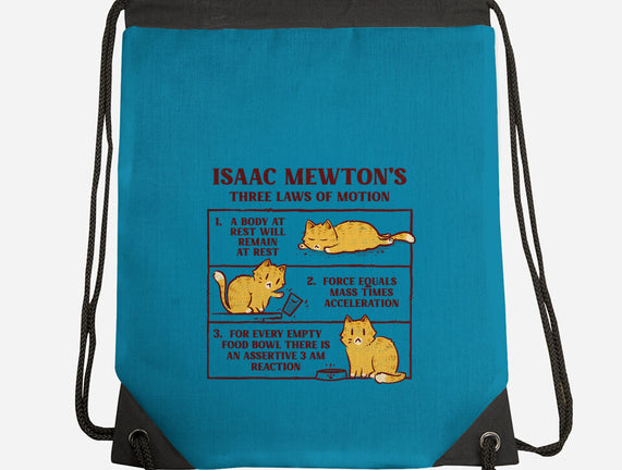 Isaac Mewton's Laws Of Motion
