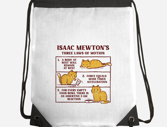 Isaac Mewton's Laws Of Motion